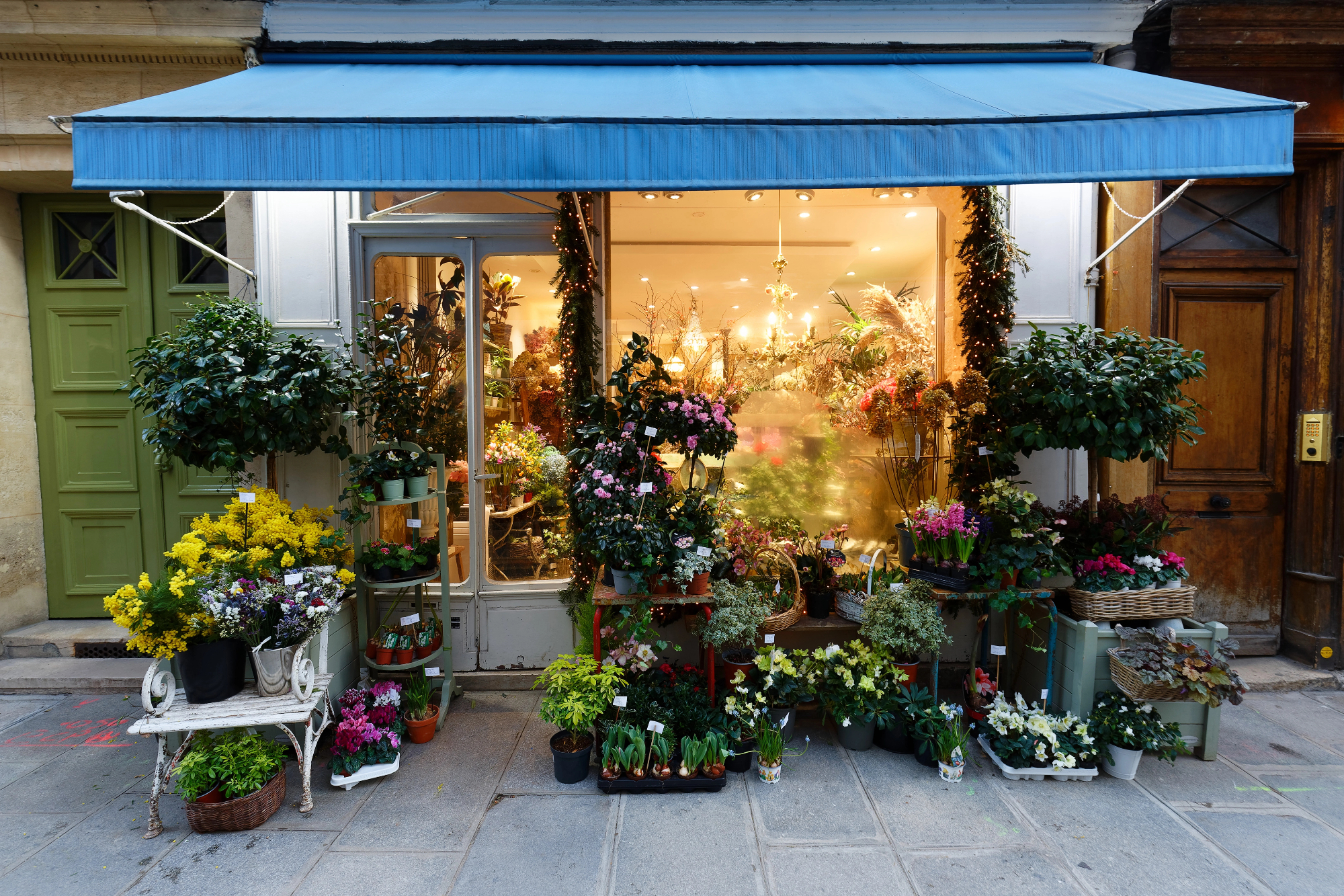 Cvetličarna je mesto, kjer se lahko dobi kakšno darilo 